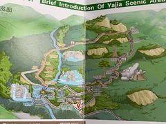 -海南霸王岭国家森林公园