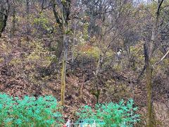 -终南山南五台景区