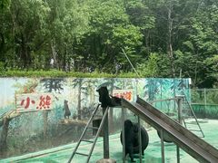 -西安秦岭野生动物园
