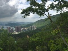 -梧桐山风景名胜区