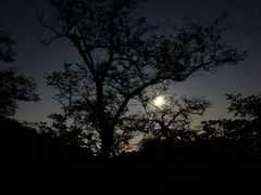 -鬼笑石后山停车场