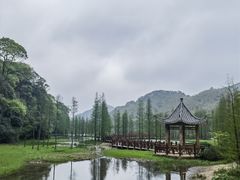 -广州市石门国家森林公园