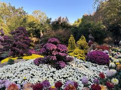 -杭州植物园