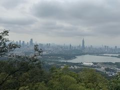 -紫金山天文台
