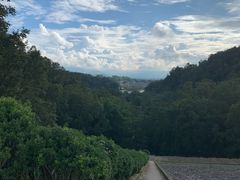 -孔雀湖生态旅游区