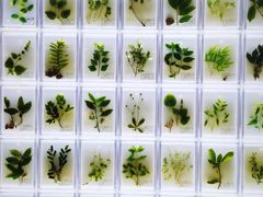 -广东中医药博物馆