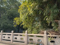 -杭嘉湖咬强羊肉面馆(永兴路总店)