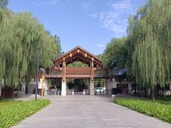 -野鸭湖国家湿地公园