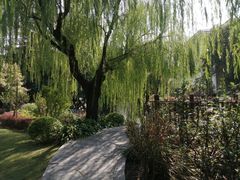 -上海虹桥迎宾馆