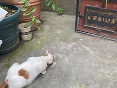 -上海鲁迅故居