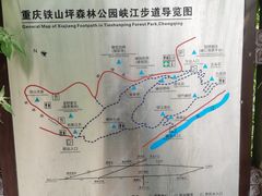 -铁山坪森林公园