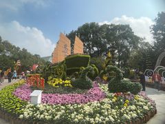 -南山植物园