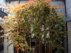 大堂-归觅·西关小姐人文艺术馆(荔枝湾店)