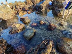 -西涌国际滨海旅游区