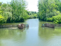 -溱湖国家湿地公园