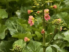 -中国天府农业博览园