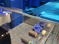 -the Roll'ING手作瑞士卷专门店(卓悦中心店)