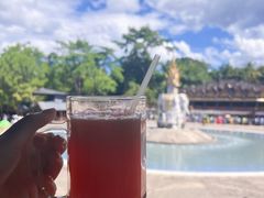 -西双版纳傣族园