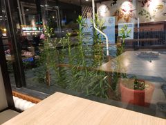 -小鱼小面(小汤山店)