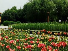 -长春公园(普阳街道)