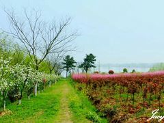 -南京金牛湖风景区