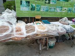 -双龙峡