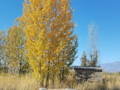 -野鸭湖国家湿地公园