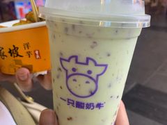 -一只酸奶牛(八一路店)