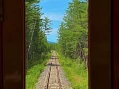 -莫尔道嘎国家森林公园