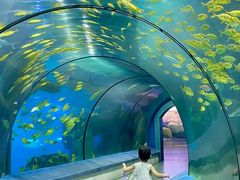 -福州罗源湾海洋世界旅游区