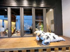 -Metal hands·铁手咖啡