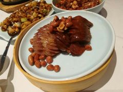 -眉州东坡·熊猫主题餐厅(枫蓝店)