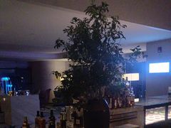 -秀·吧 Show Bar(兰州盛达希尔顿酒店)