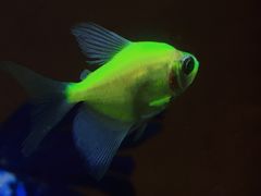 -七宝蔬菜农副产品综合交易市场-停车场