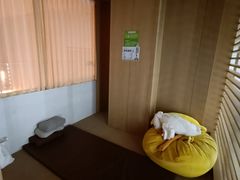 -涨巢·潮玩水疗局