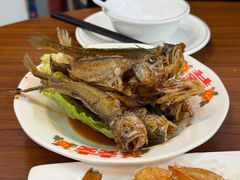 -谢记上海大排档(长寿路店)