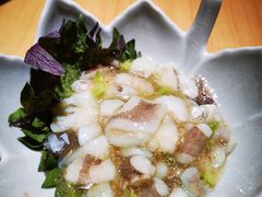 芥末章魚-Lia Cafe Bar Restaurant松山咖啡屋