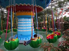 -南宫五洲植物乐园