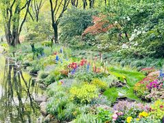 -上海共青森林公园