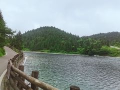 -武陵山森林公园