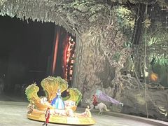 -广州长隆国际大马戏