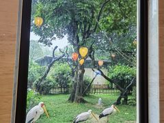 -熊猫自助餐厅.萌趣城堡(长隆熊猫酒店)