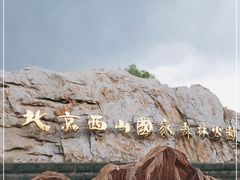 -北京西山国家森林公园