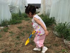 -庞各庄西瓜蔬菜采摘园·锦华瓜园