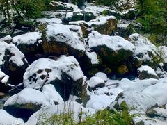 -龙苍沟森林公园