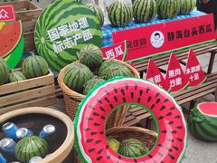-鹏欣水游城