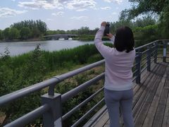 -大兴滨河森林公园