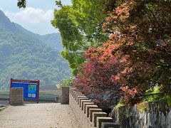 -龙坞茶村