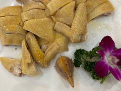 白切鸡-东江渔村·古典园林·30年粤菜老字号(太和店)