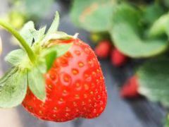 -厦门国家会计学院